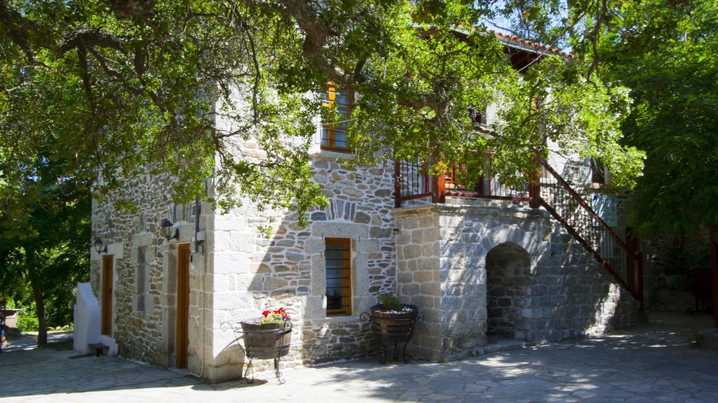 Petrino Spiti Villa