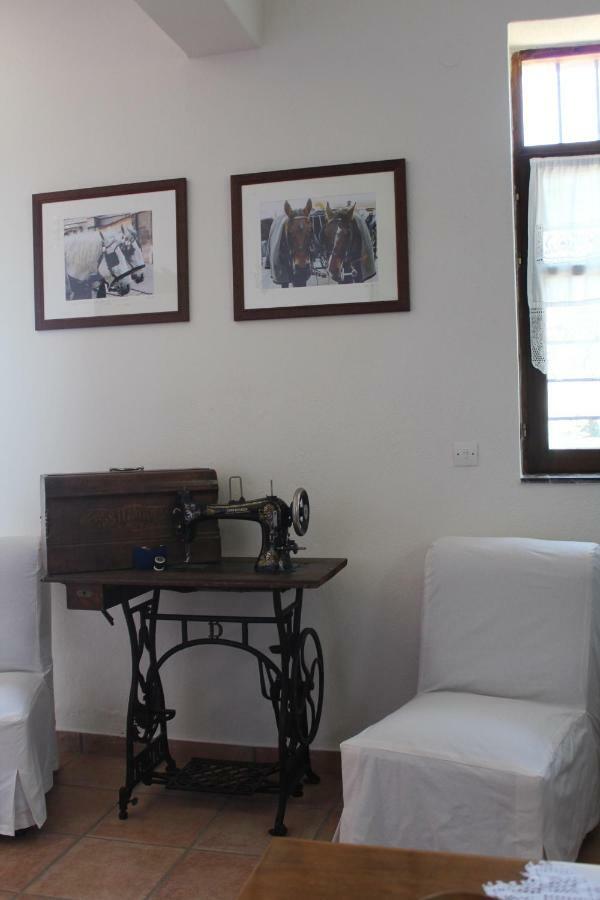 Petrino Spiti